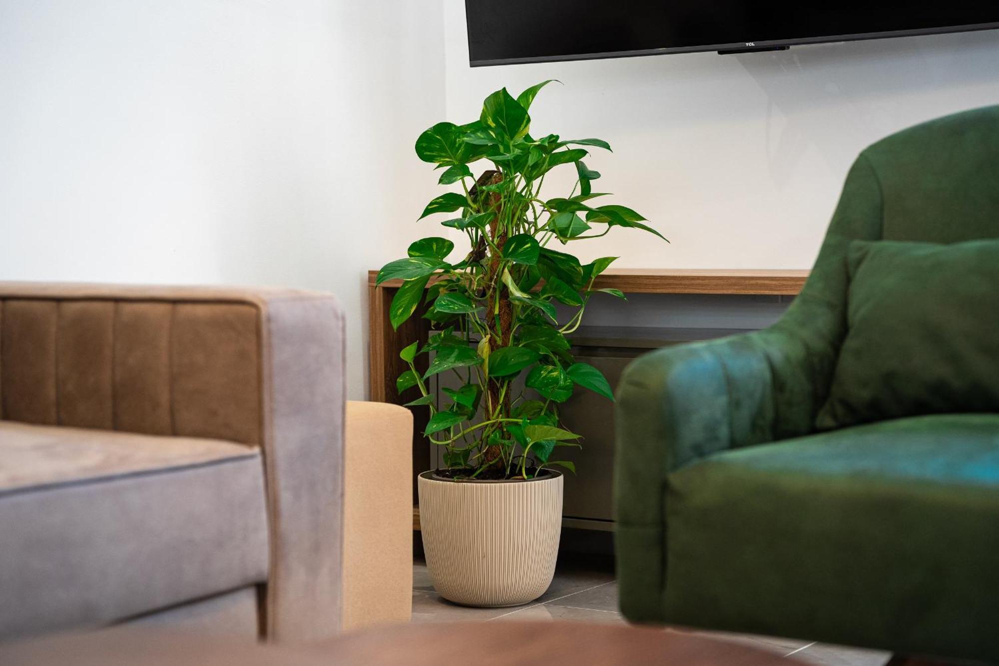 Cosy Duplex Near Bus Station Apartman Budva